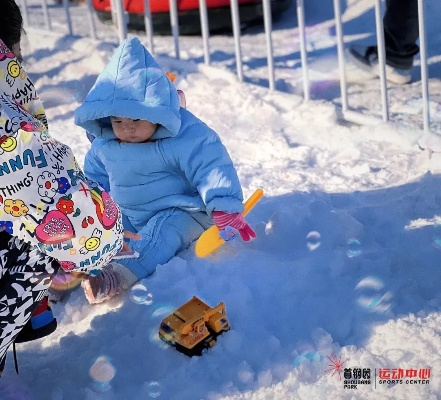 在银装素裹的雪地中，探寻神秘的雪地小球球奇遇与乐趣的冒险之旅