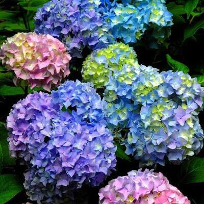 (无尽模式最强阵容视频)再苟一步，无尽模式最强阵容揭秘：全新打法让你事半功倍！