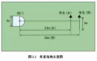 线球怎么玩：从基础规则到技巧提升，教你掌握这项有趣的运动！
