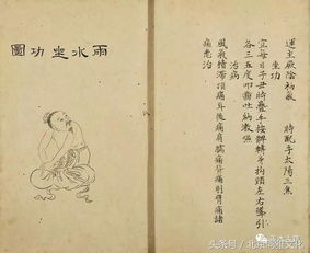 (仙禁生红药是什么意思)仙禁生红药微芳不自持的意思及历史渊源细解