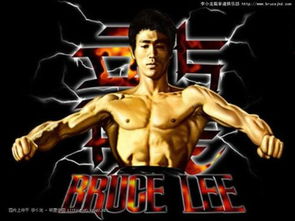 (功夫之夜电竞)挑战不败！功夫之夜最强UR，超越常人的神级武术对决！